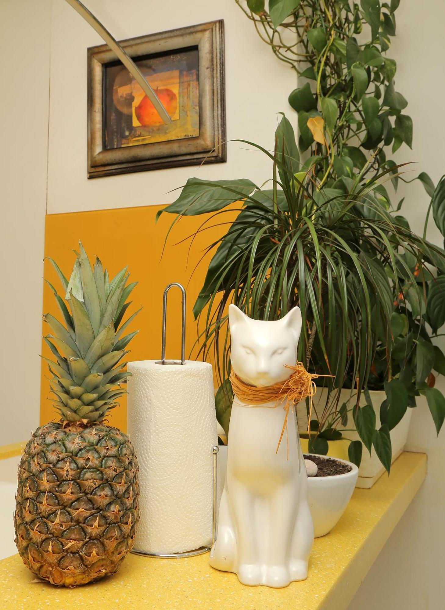 Kate's Place Apartamento *