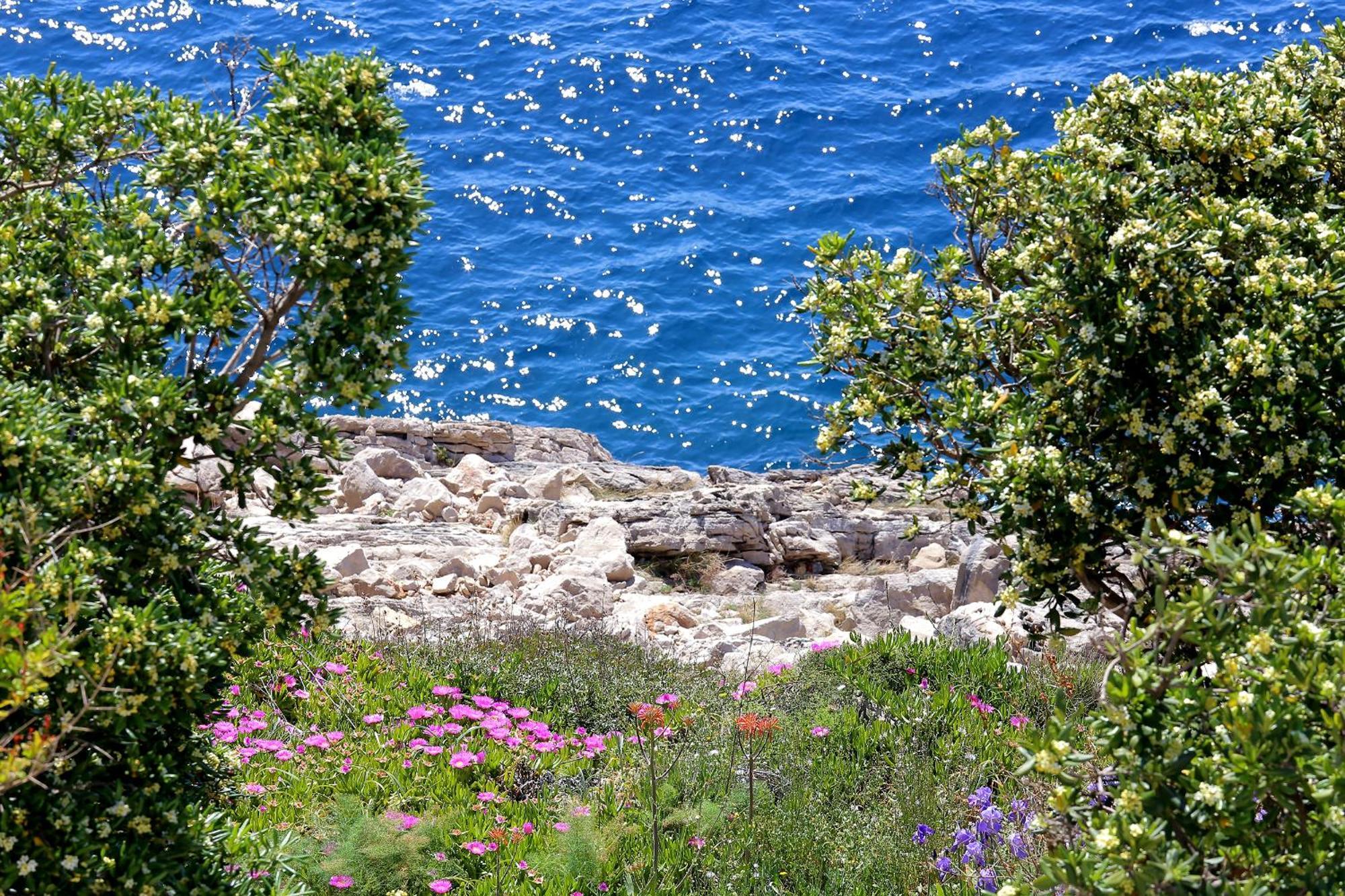 Kate's Place Dubrovnik